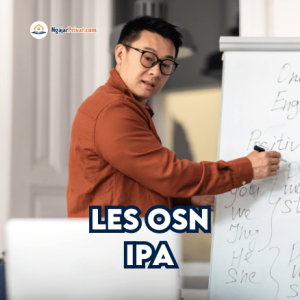 Les OSN IPA SD & SMP