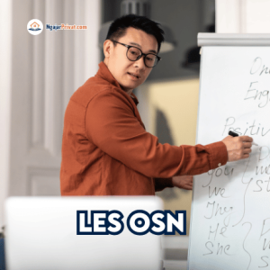 Les OSN Terbaik